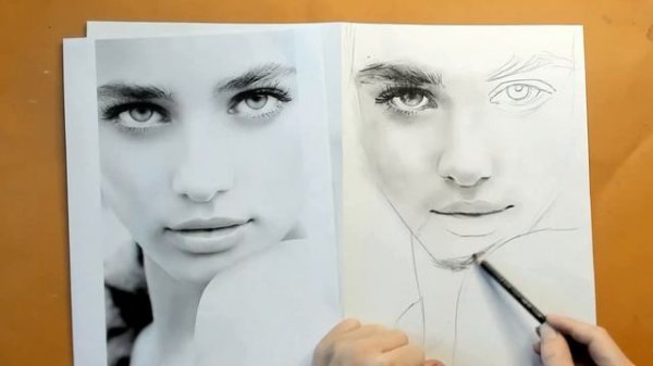 портрет для новичков