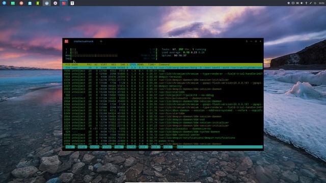Checking out Reborn OS- Deepin Desktop Environment смотреть онлайн