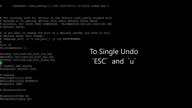 07 Vim Editor - How to Undo and Redo in Vim Editor | Undo in Vim | Redo in Vim смотреть онлайн