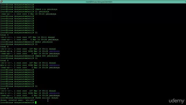 Linux Dosya ve Dizin İzinleri (chmod,chown) смотреть онлайн