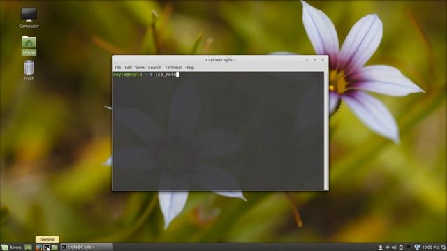 How To Find Out What Version of Linux You Have!! смотреть онлайн