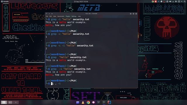 Linux Advanced Course - Grep command смотреть онлайн