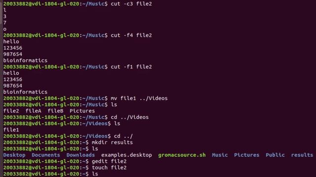 Basic Linux commands for bioinformatics смотреть онлайн