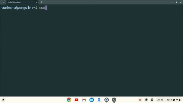 How to Install Terminator on a Chromebook смотреть онлайн