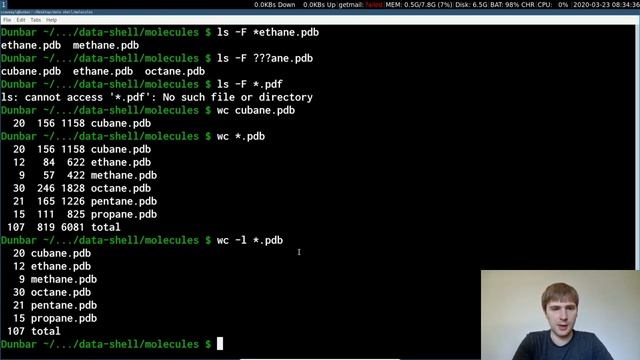 The Unix Shell - Pipes and Filters Part 1 - Software Carpentry смотреть онлайн