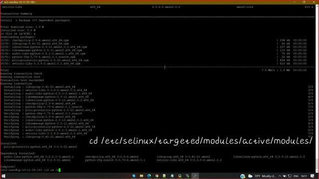 Security-Enhanced Linux (SELinux) Policies Import on AWS EC2 instance смотреть онлайн
