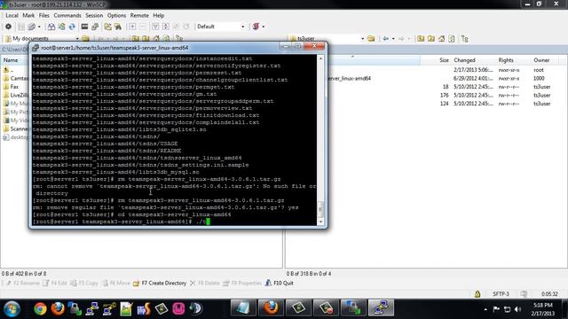 How to install a TeamSpeak 3 Server on a VPS Server through SSH смотреть онлайн