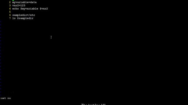 Create and Assign values in Bash shell scripting смотреть онлайн