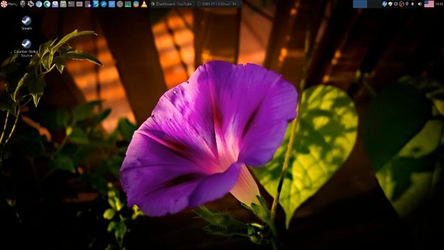 PepperMint OS Not FINAL Conclusion - video response to English Bob ;-)) смотреть онлайн