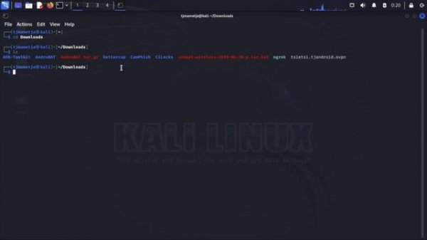 Kali linux error wlan0 wlan1 not showing up in ifconfig/iwconfig 2023