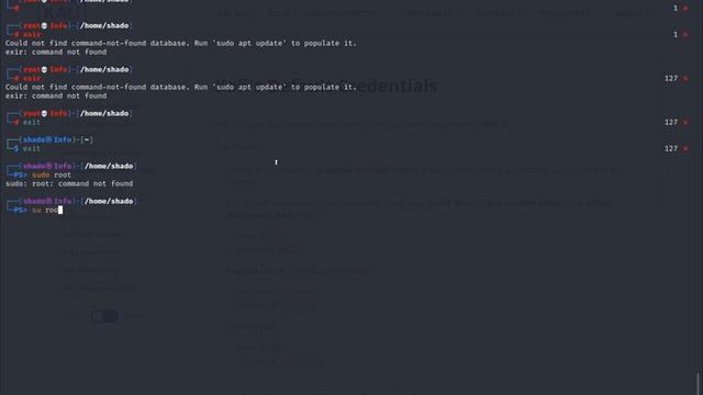 Connexion root sur terminal Kali linux 2021. смотреть онлайн