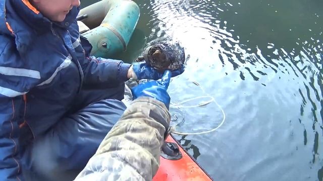 ЗДЕСЬ МЕТАЛЛА ХВАТИТ НА ВСЕХ!!! ЕГО СБРАСЫВАЛИ ГОДАМИ!!! смотреть онлайн