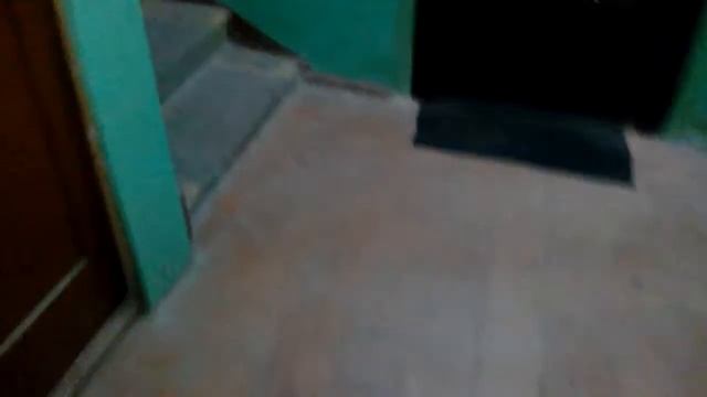 Кот разговаривает - говорит отстань, дай пройти, кот нормально идёт домой. VivaVideo