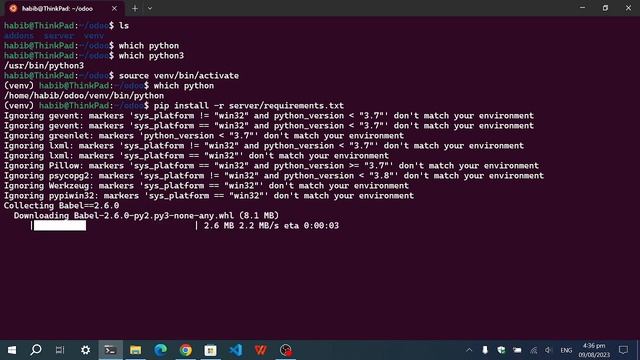 Odoo 13 development setup on Windows Subsystem for Linux (WSL) смотреть онлайн