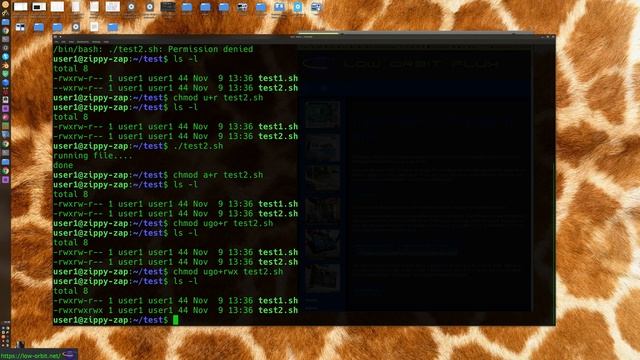 Linux How To Execute A File смотреть онлайн