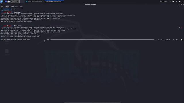 Kali Linux'a Google Chrome Nasıl Kurulur смотреть онлайн