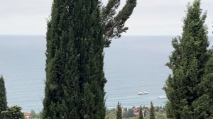 Ялта. Октябрьская благодать. Городская зарисовка. Октябрь 2024. Крым. Crimea. Yalta.