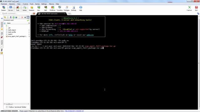 Installing a Cloud Workload Protection agent on a Linux instance смотреть онлайн