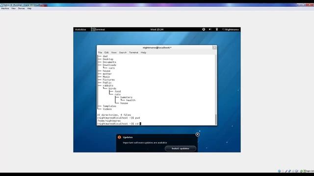 Directory Structure, Absolute and Relative Pathnames in Linux смотреть онлайн