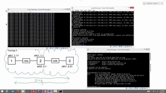 Capturing Ping in a Virtual Linux Network смотреть онлайн