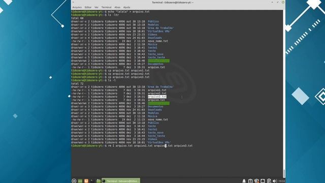 COMO APAGAR ARQUIVOS NO LINUX USANDO O COMANDO RM? смотреть онлайн