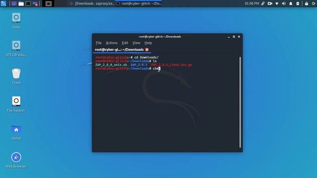 How to install OWASP ZAP in Kali Linux 2019 смотреть онлайн