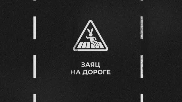 Умник на дороге. Заяц на скоростной трассе смотреть онлайн