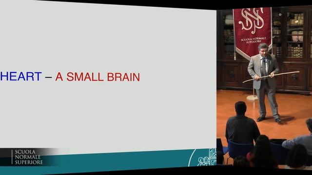 Scuole allo specchio, dal cuore al cervello - 17 maggio 2017 смотреть онлайн