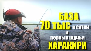 БАЗА за 70 ТЫС в СУТКИ. Первые ЩУЧЬИ ХАРАКИРИ