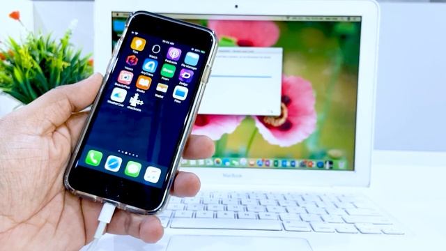 Checkra1n iOS 12.3 - iOS 13.3 Jailbreak Guide смотреть онлайн