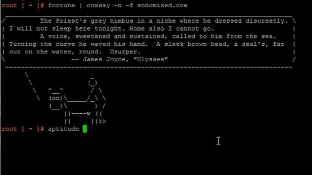 Fun with linux смотреть онлайн