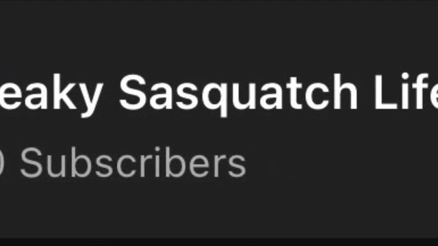 How To Stay Up PAST 8:01 In Sneaky Sasquatch! смотреть онлайн