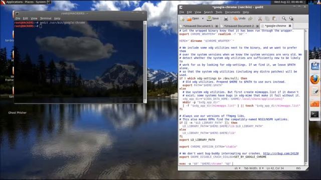 Install and Run Google Chrome as root on Backtrack 5 R3 смотреть онлайн