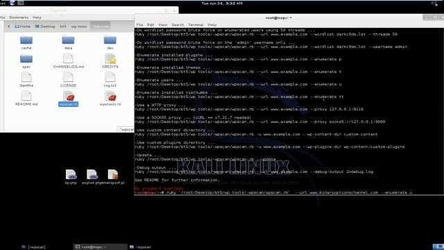 how to find wordpress vulnerability смотреть онлайн