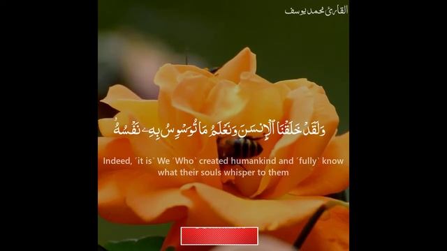 Surah Qaf | Ayat 16 | Muhammad Yousaf- القارئ محمد يوسف смотреть онлайн