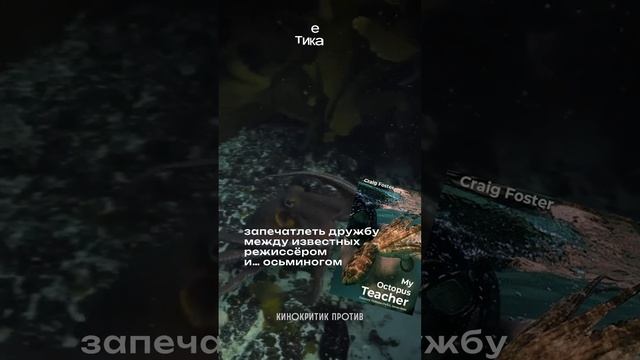 🐙 А Вы давно ели осьминога? #оскар #чтоПосмотреть смотреть онлайн