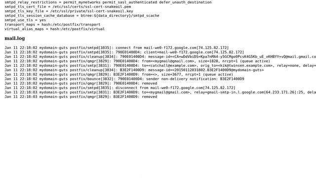 Catch all emails and pipe them all to a script with postfix (2 Solutions!!) смотреть онлайн