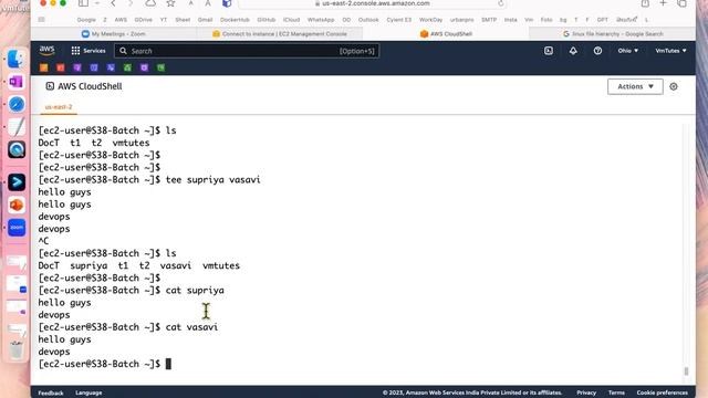Linux Lecture-5 | Linux Filesystem Hierarchy | #VmTutes смотреть онлайн