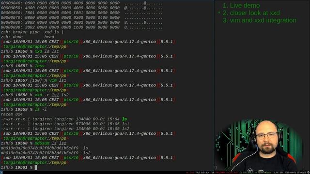 Edit binary files in vim - TORGiren DevOpses #24 смотреть онлайн