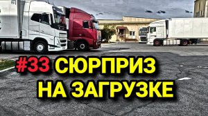 VOLVO FH | СЮРПРИЗ НА ЗАГРУЗКЕ | ЛЮБИМАЯ РАБОТА | БЕЛАРУС ДАЛЬНОБОЙ #33