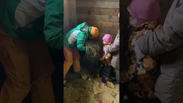 Занятие «Когда на улице очень холодно» смотреть онлайн