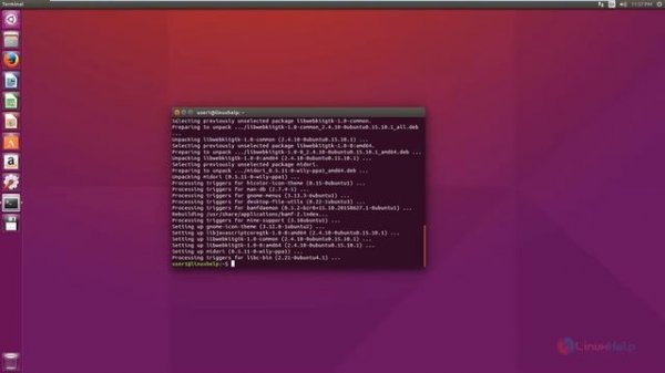 How to install Midori Web Browser 0.5.11 in Linux