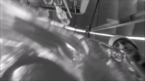 Получение малька щуки. Инкубация щуки: получение икры, оплодотворение икры щуки, выклев личинки щуки