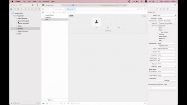 Add image to view controller Xcode (Storyboard)