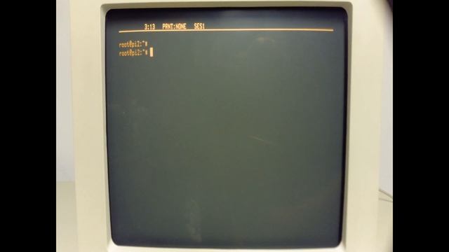 IBM InfoWindow II 3153 Serial Terminal смотреть онлайн