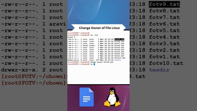 Change Owner of File in Linux #command #change #ownership #of #file #linux #commandline #terminal смотреть онлайн