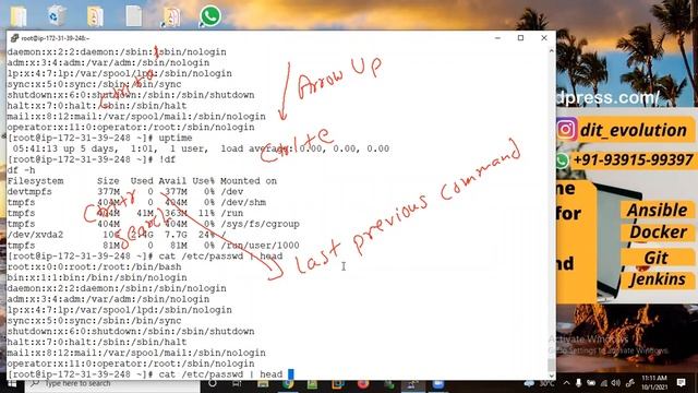Top 10 Linux Terminal Keyboard Shortcuts to Speed Up Your Workflow | DIT Evolution смотреть онлайн