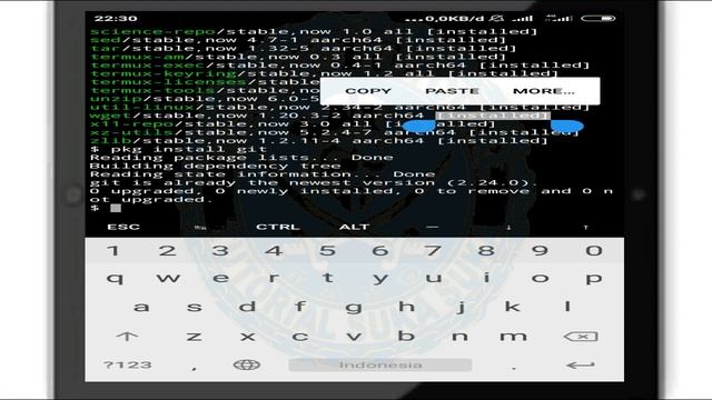 Cara Menggunakan Termux untuk Pemula : Pemasangan Package On-App & Out-App (BELAJAR H*CKING PART 2) смотреть онлайн