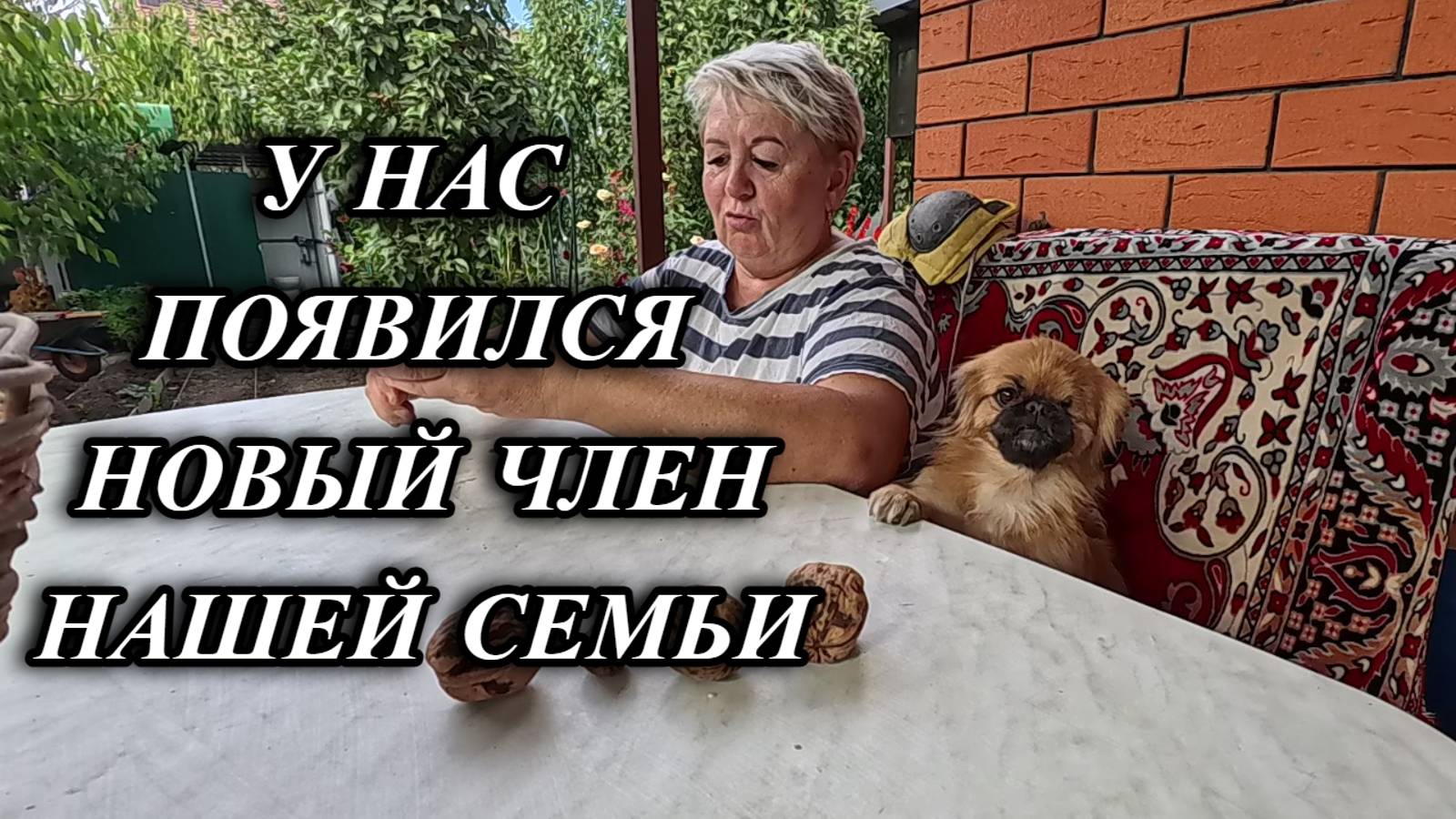 688ч Живём на юге России/Переехали с Урала на Кубань/Интересное из нашей жизни смотреть онлайн