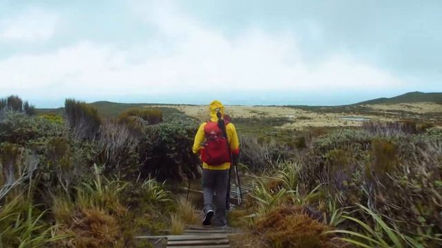 Backpacking to Reflecting Pools in New Zealand | Pouakai Crossing смотреть онлайн